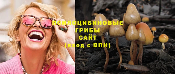 круглые Аркадак